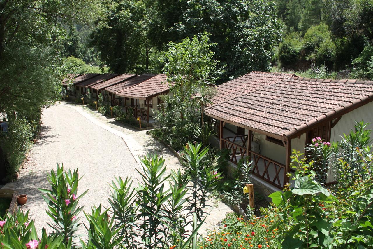 Eco Family Park 호텔 Beskonak 외부 사진