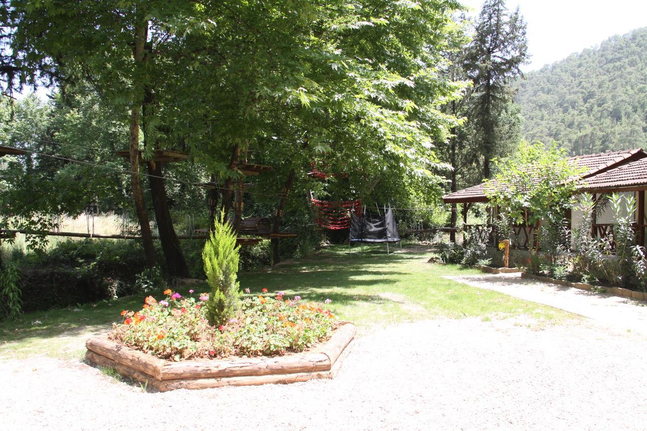 Eco Family Park 호텔 Beskonak 외부 사진