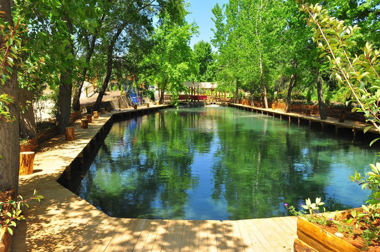 Eco Family Park 호텔 Beskonak 외부 사진