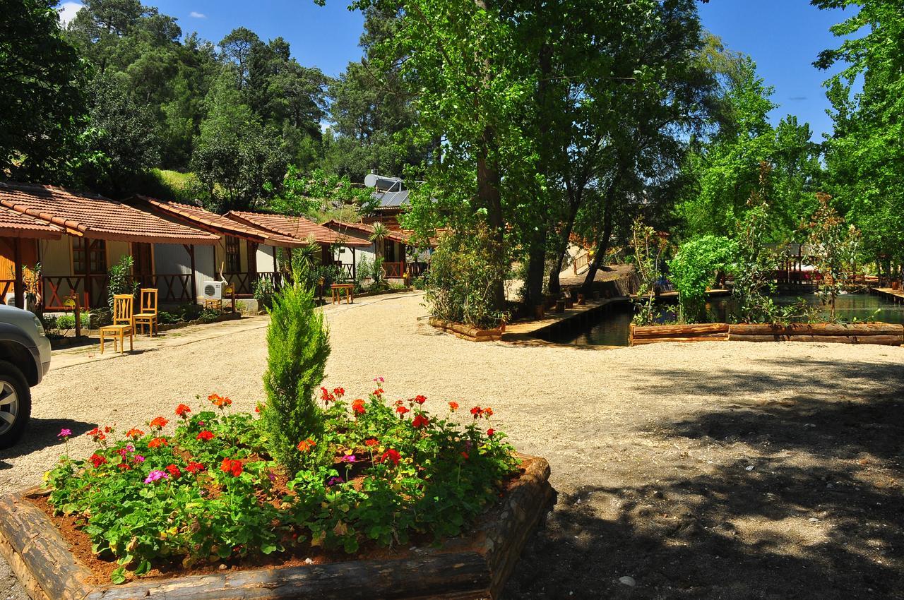 Eco Family Park 호텔 Beskonak 외부 사진