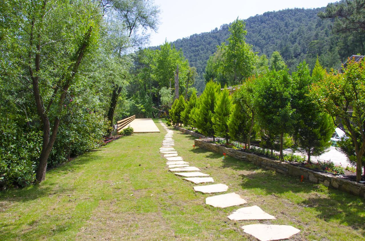 Eco Family Park 호텔 Beskonak 외부 사진