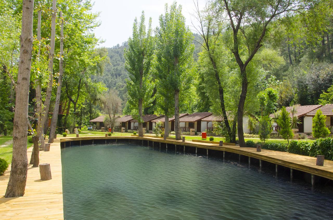 Eco Family Park 호텔 Beskonak 외부 사진