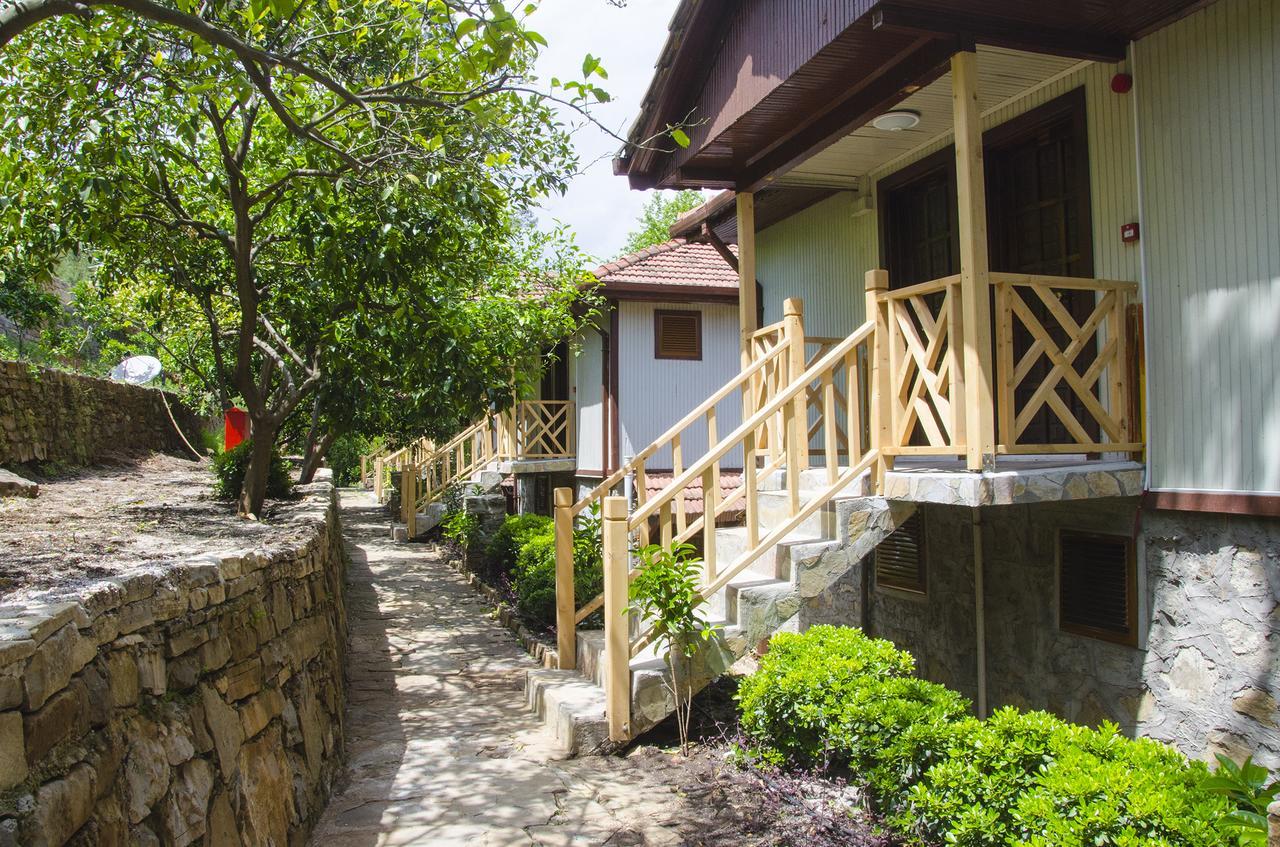 Eco Family Park 호텔 Beskonak 외부 사진